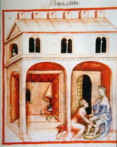 Hot Water, illustration from Tacuinum Sanitatis Codex Vindobonensis by Italian School